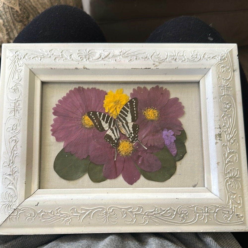 Framed Butterfly and Floral Art